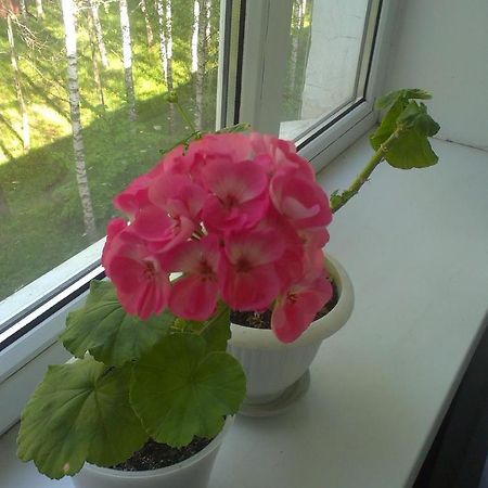 Apartment Chernihivska 13 Shostka 外观 照片